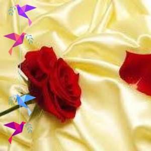 Meet your Posher, Rosetta